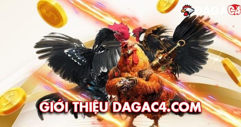 Giới thiệu Đá Gà C4 là trang web đá gà trực tiếp uy tín để bạn tin tưởng lựa chọn